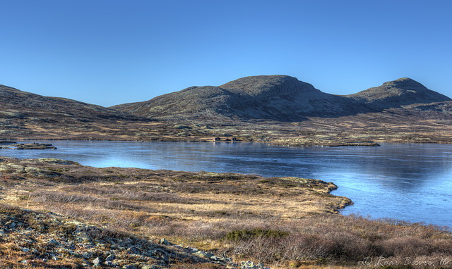 Venabygdsfjellet