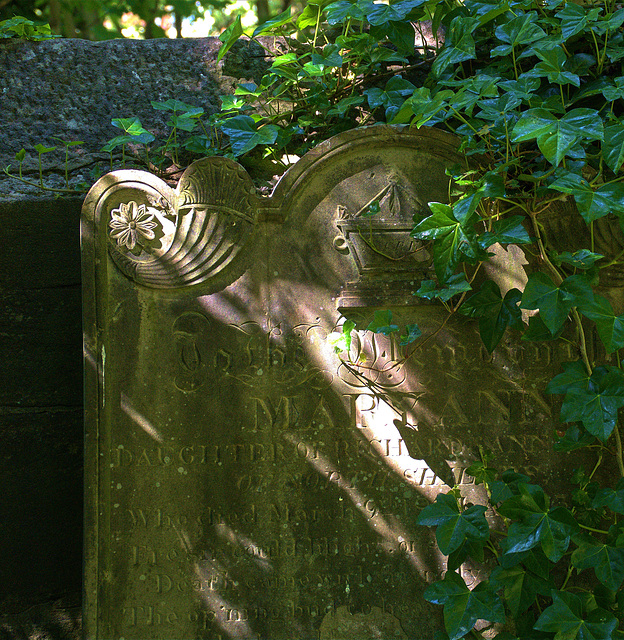 Light And Shadows At Preston Cemetery, North Tyneside