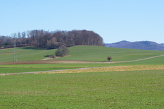 Frühlingsfarben am Nüll