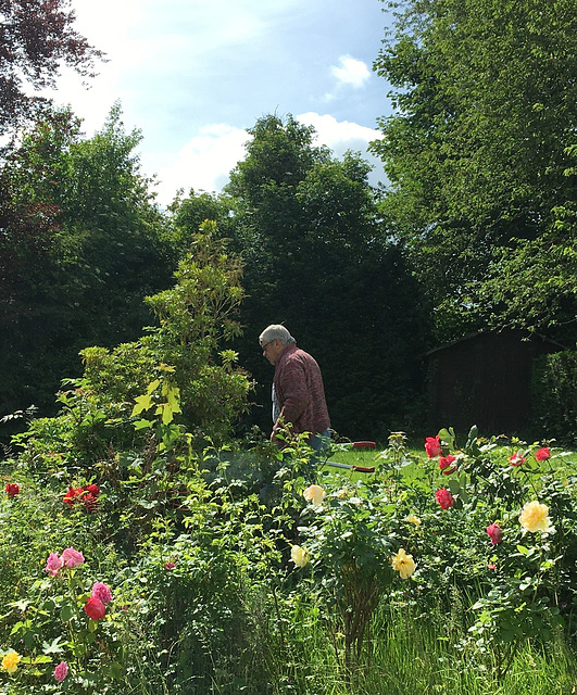 Le jardinier au travail