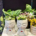 Potted plants.