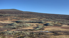 Moraines at Venabygdsfjellet mountain.