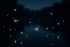 good night ✨️