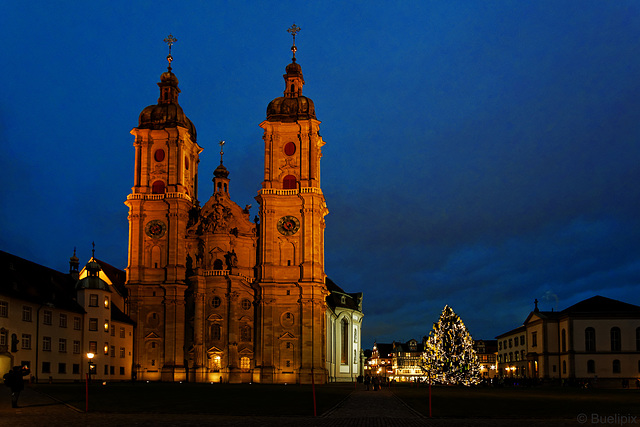 Stiftskirche St. Gallen (Stiftskirche St. Gallus und Otmar) (© Buelipix)