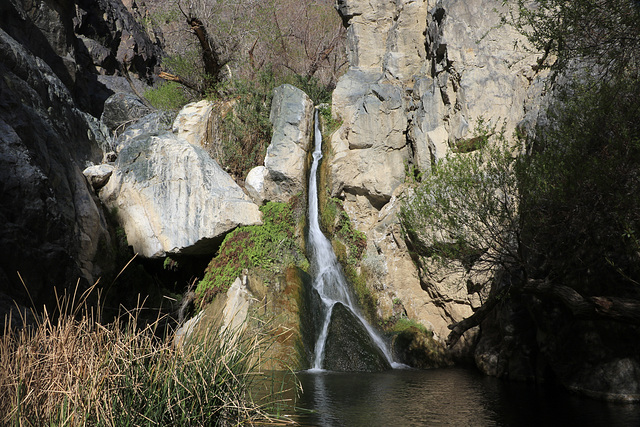 Darwin Falls