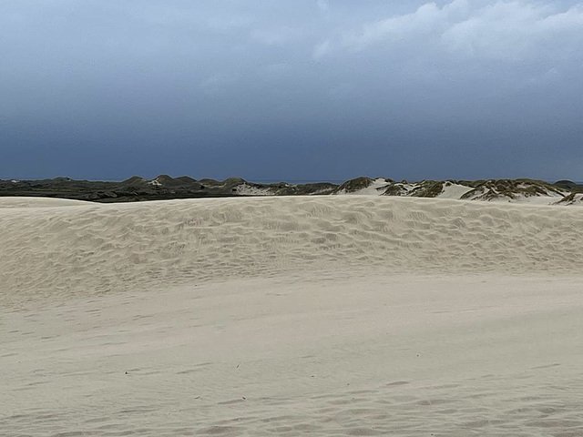 Danish Dunes, Råbjerg Mile