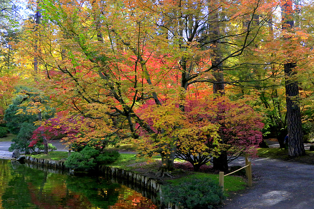 Nishinomiya Garden