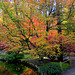 Nishinomiya Garden