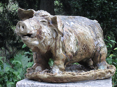 Pig, by Sylvain Bongard.