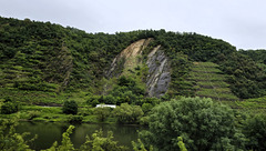 Weinberg bei Kobern-Gondorf Weinberg bei Kobern-Gondorf