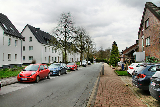 Heinrichstraße (Lünen-Brambauer) / 16.03.2019