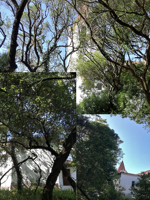 Bombarral Church seen from the Municipal Forest-park