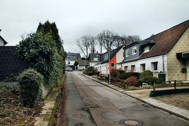 Hohe Kuppe (Essen-Überruhr) / 10.02.2024