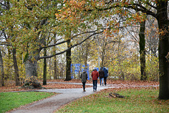 Annoyingly cold rainy weather Annoyingly cold rainy weather