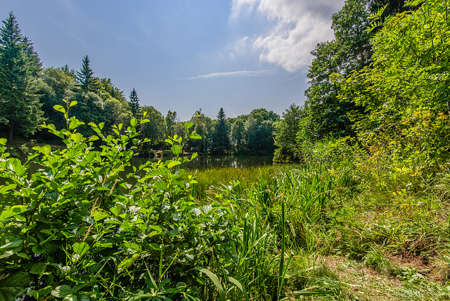 Basaltsee - 20150811