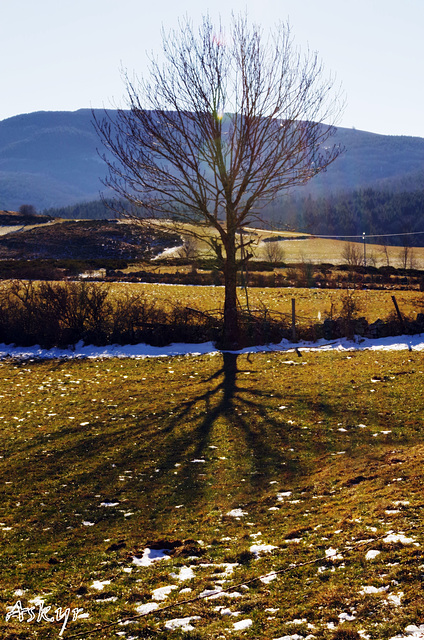 La nature se repose ...