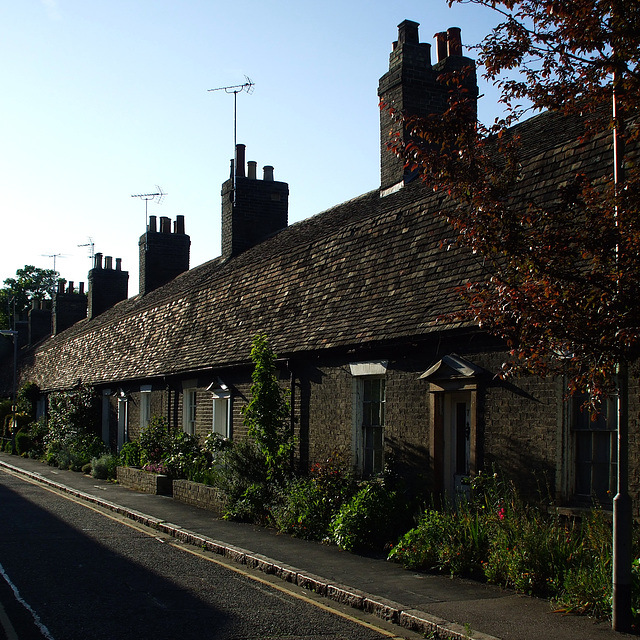 Cambridge - Orchard Terrace from SE 2013-06-05