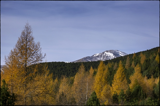 Esperant les nevades