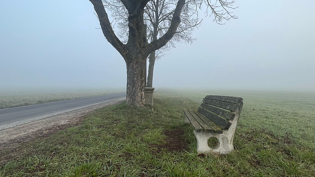 Day 68/365:2026 Bench by fog