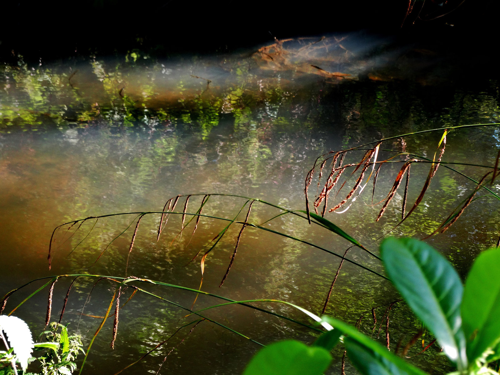 On The Edge