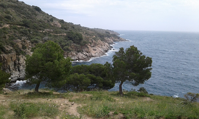 An der Küste von Roses - Costa Brava