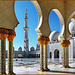 Abu Dhabi : La grande moskea Zayed - (975)