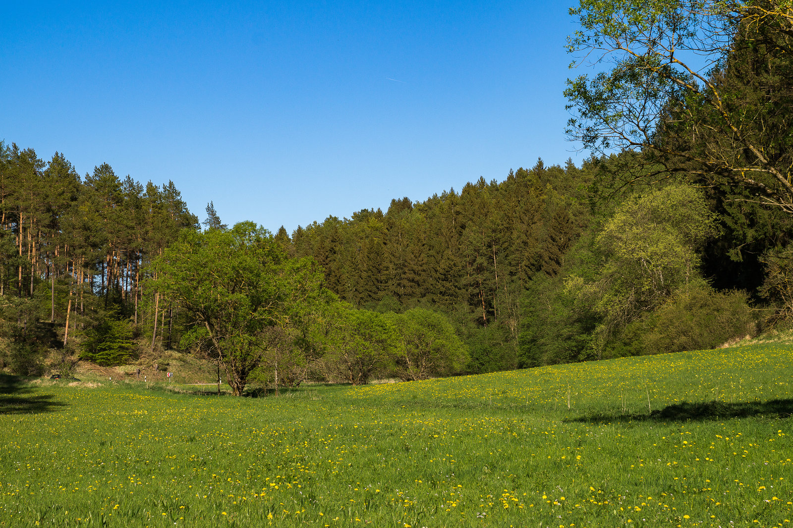 Blankenheim - Lampertstal im Frühjahr