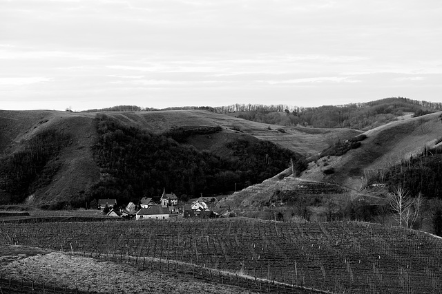 Altvogtsburg im Kaiserstuhl