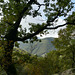 20241013 Rando Col de Bes (Cévennes) (29)