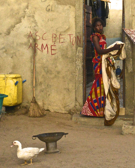 Jeune femme et canard