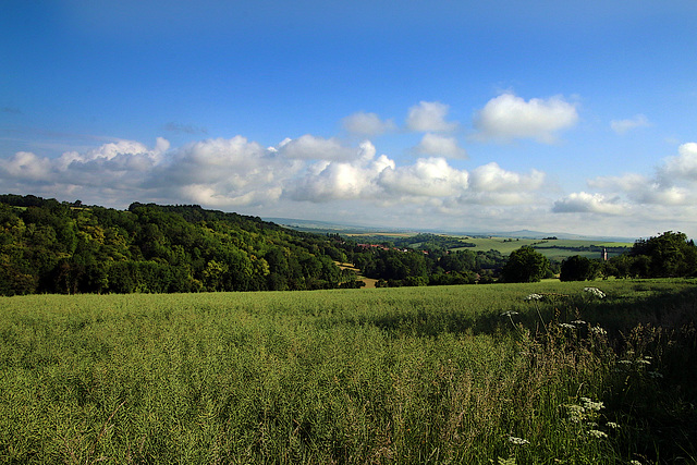 Ce matin à Merry-la-Vallée , dans l'Yonne