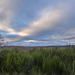 Cloud formations over Dava Moor