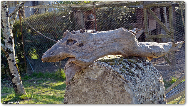 ROQUE de THAU (33 Gironde)