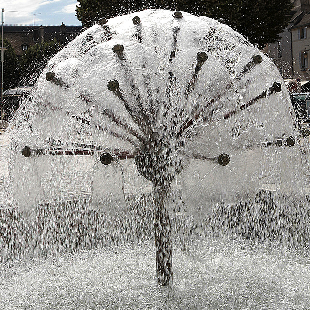 Fontaine pissenlit....