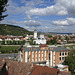 View Over Sighisoara