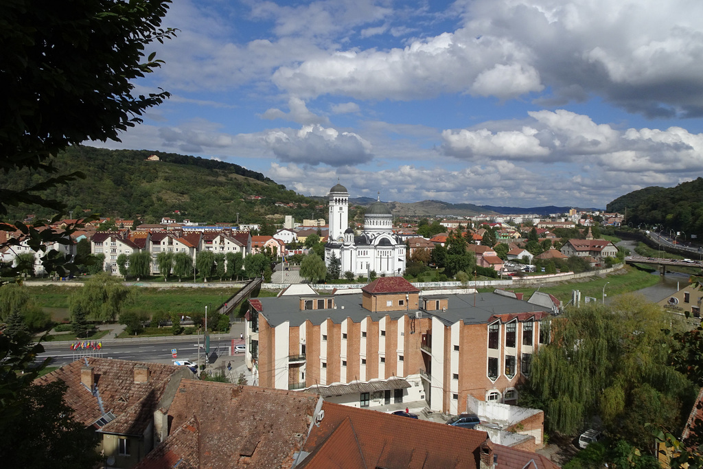 View Over Sighisoara