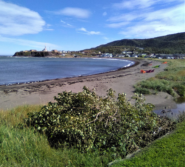 Plage du Québec / Quebec's beach