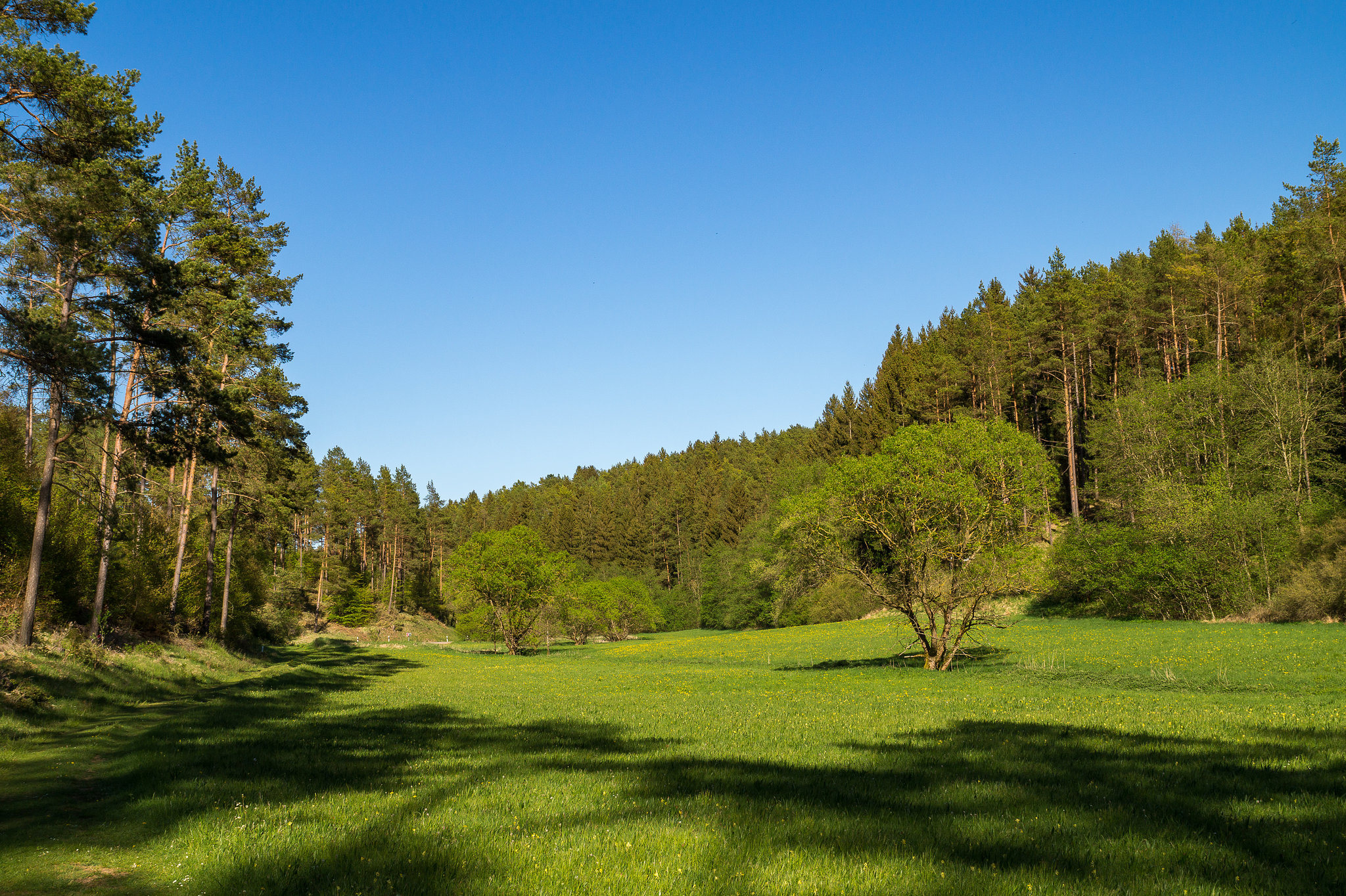 Blankenheim - Lampertstal im Frühjahr