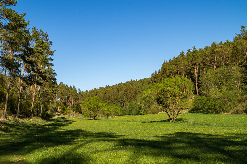 Blankenheim - Lampertstal im Frühjahr