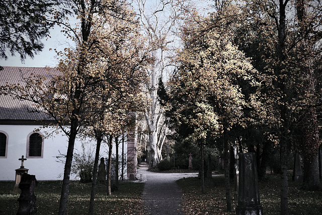 Alter Friedhof Freiburg-Herdern