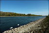 An dem schönen blauen Rhein