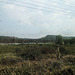 Campagne cambodgienne avec fils / Cambodian countryside with wires