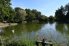 Center pond voerendaal Center pond voerendaal