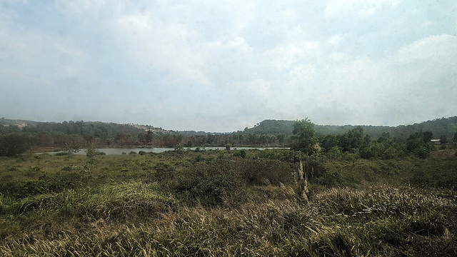 Campagne cambodgienne (sans fils) / Wireless cambodian countryside