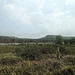 Campagne cambodgienne (sans fils) / Wireless cambodian countryside