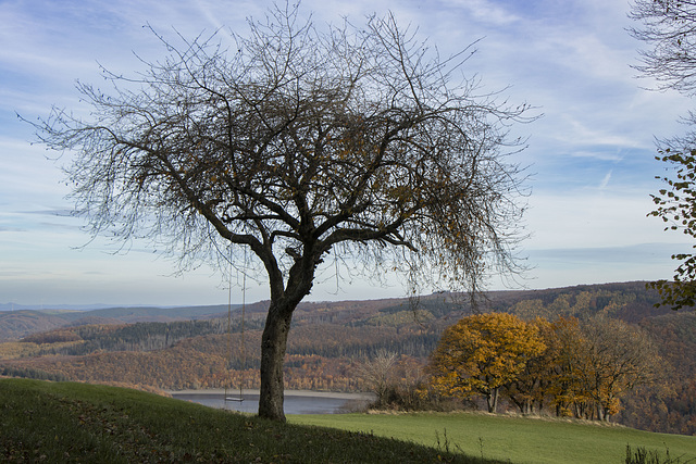 308 von 365 308 von 365