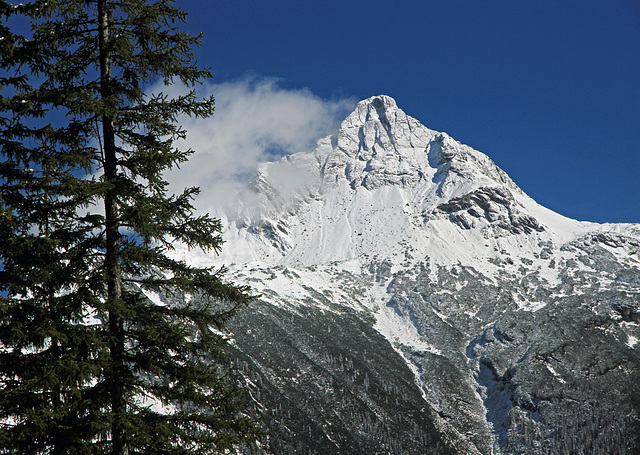 Der Schröcken bei Warth in Vorarlberg