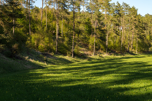 Blankenheim - Lampertstal im Frühjahr