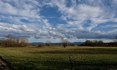 Schöner Blick