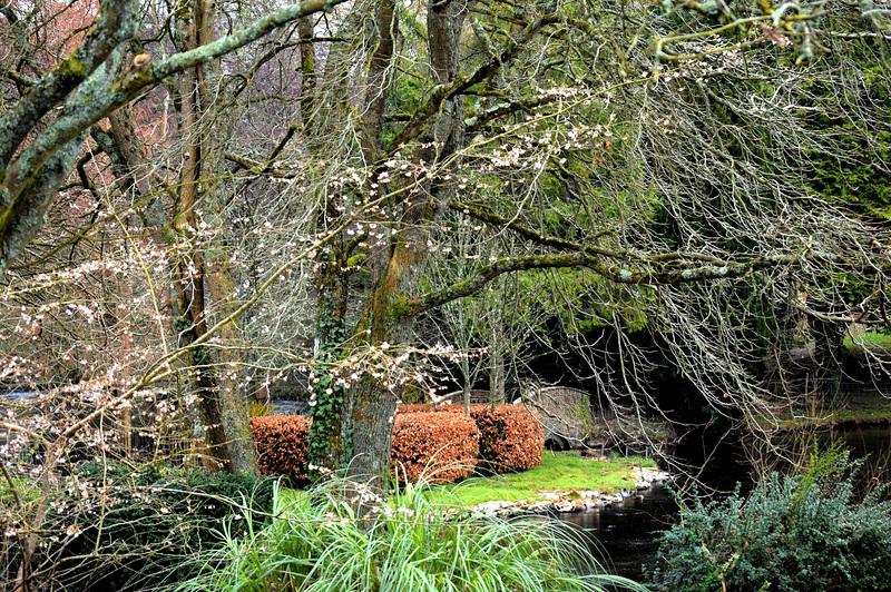 Crockerton Garden Centre.